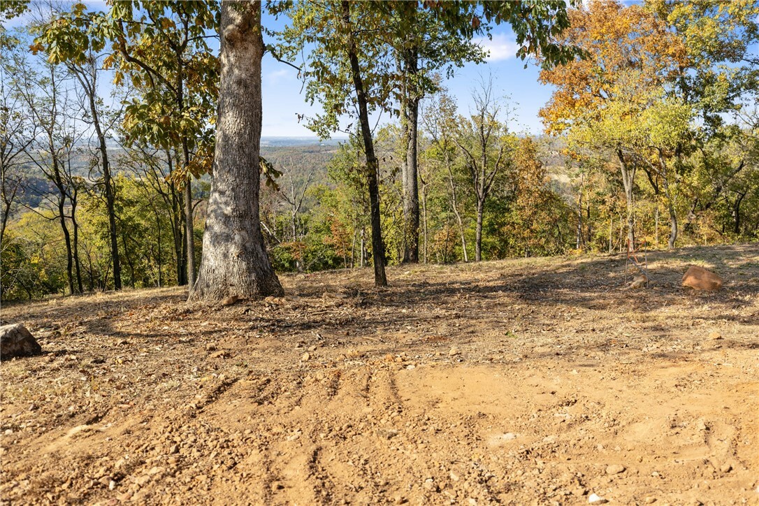 Property Photo:  Lot 103 Peaceful Place  AR 72601 