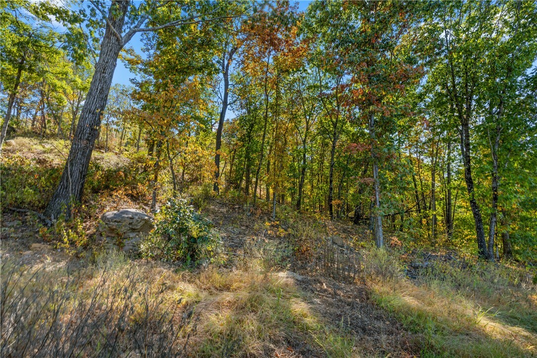 Property Photo:  Lot 100 Restore Ridge  AR 72601 