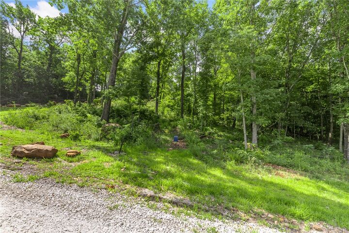 Property Photo: Lot 100 Restore Ridge AR 72601