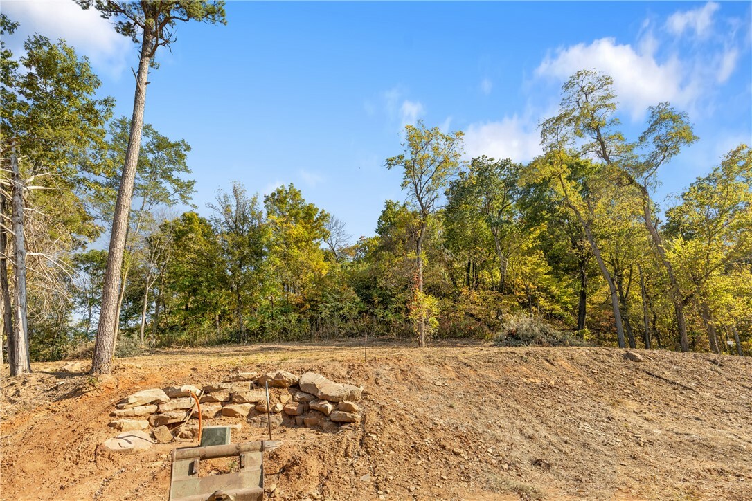 Property Photo:  Lot 106 Peaceful Place  AR 72601 