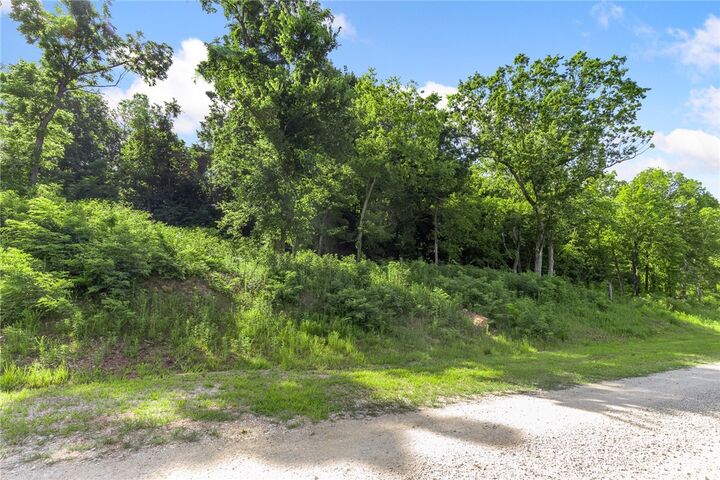 Property Photo: Lot 106 Peaceful Place AR 72601