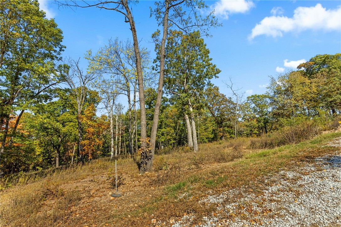 Property Photo:  Lot 87 Restore Ridge  AR 72601 