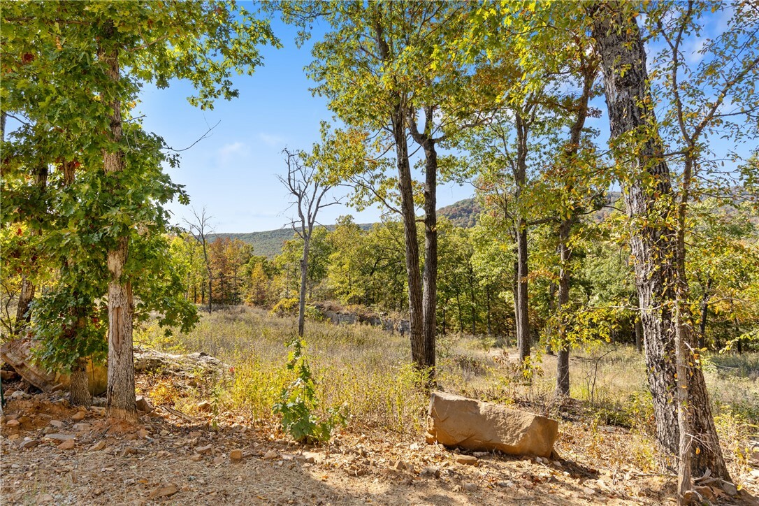 Property Photo:  Lot 74 Restore Ridge  AR 72601 