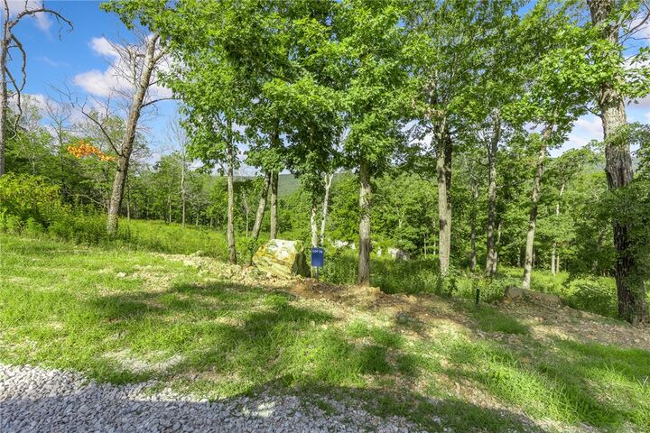 Property Photo: Lot 74 Restore Ridge AR 72601