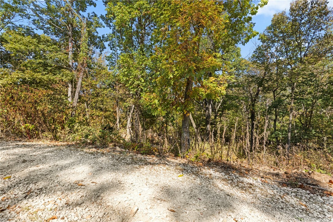 Property Photo:  Lot 94 Restore Circle  AR 72601 