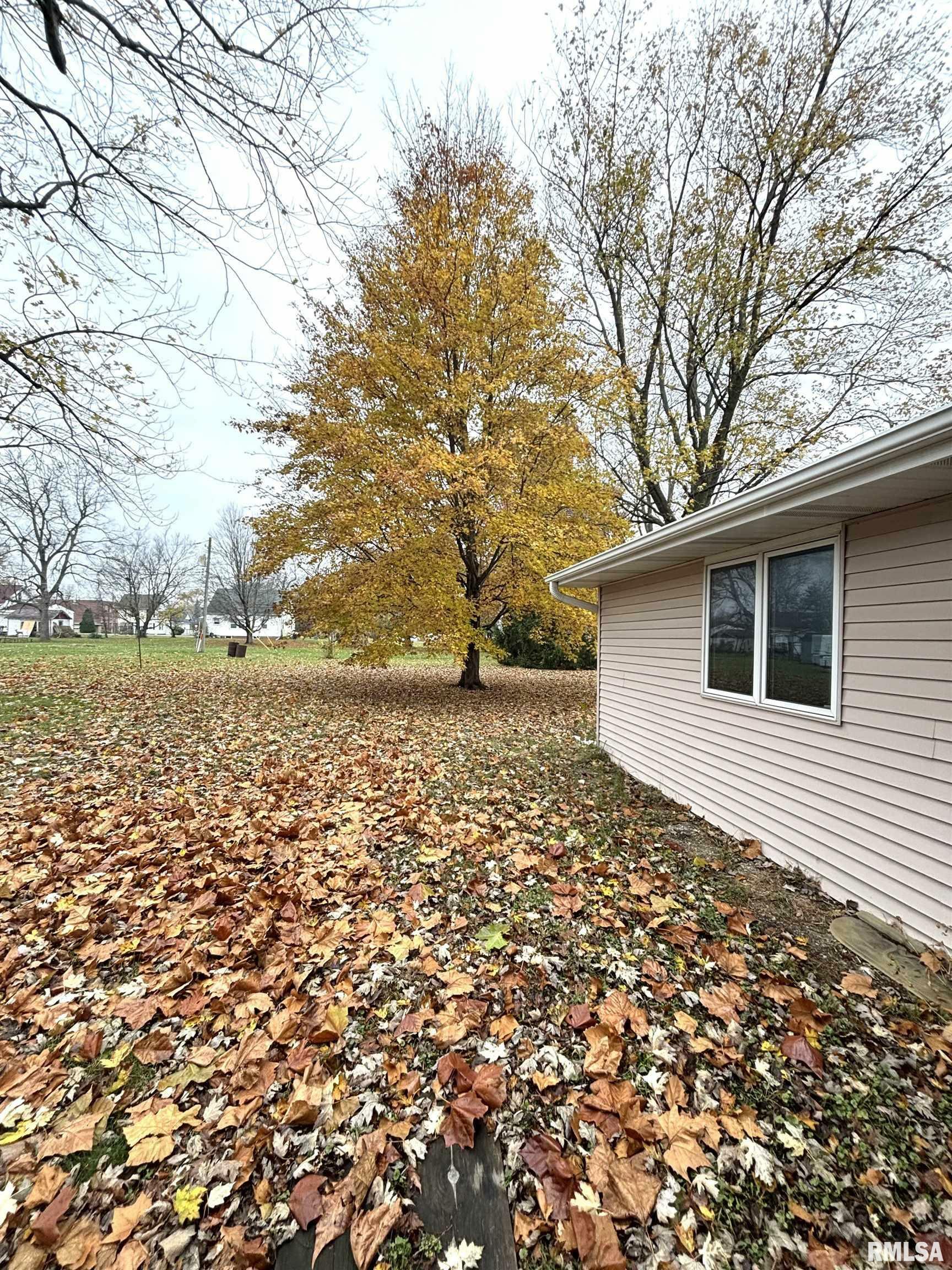 Property Photo:  307 N Kellogg Street  IL 61572 