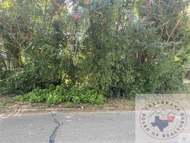 Property Photo:  321 Reading Street  TX 75501 