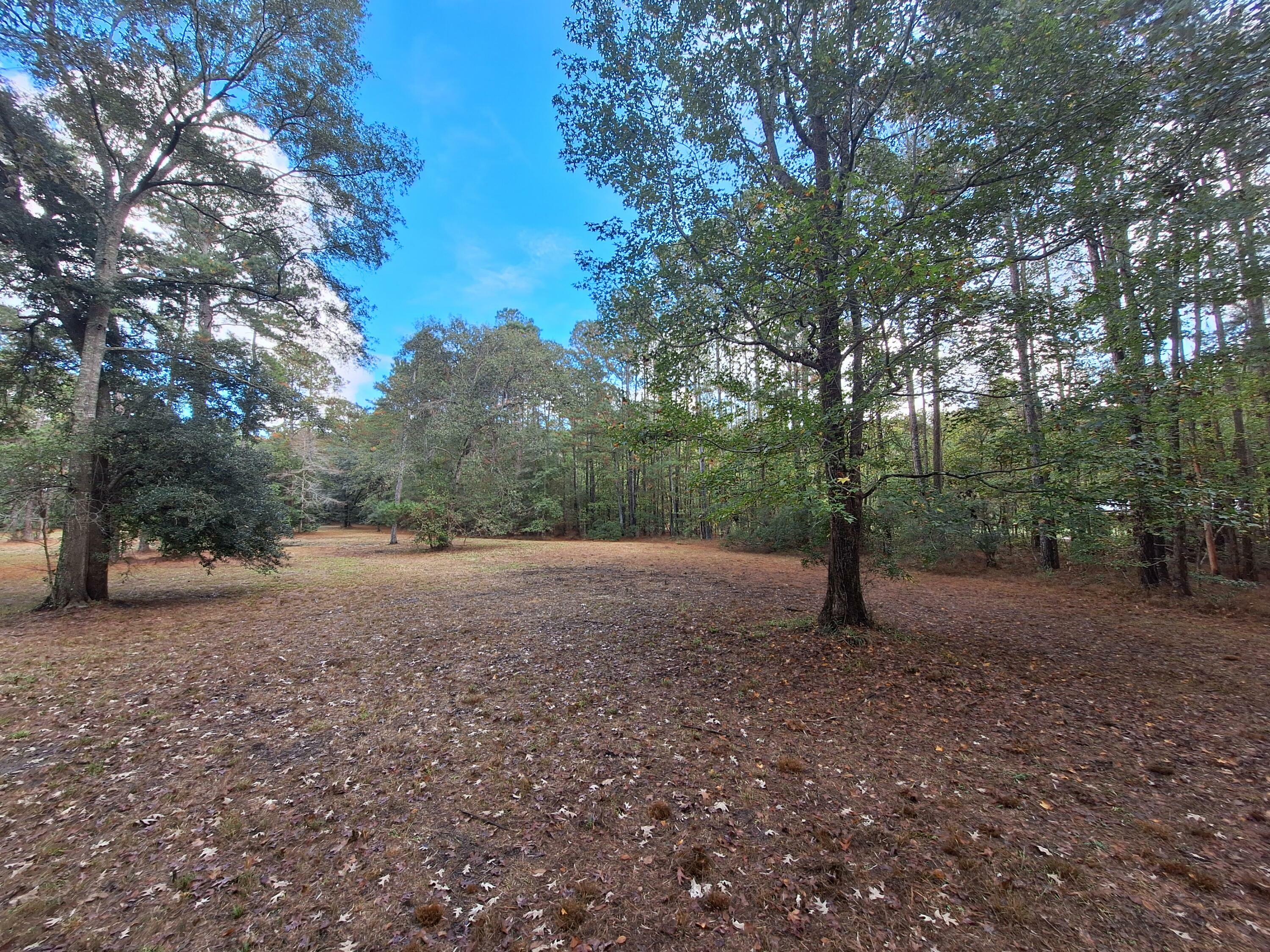 Property Photo:  0 Ashley River Road  SC 29405 