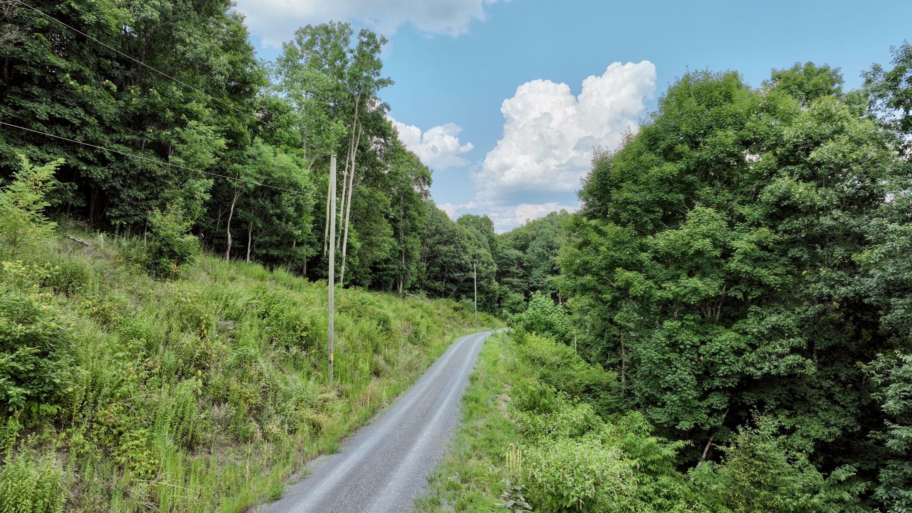 Property Photo:  Overlook Lot 63  WV 24925 