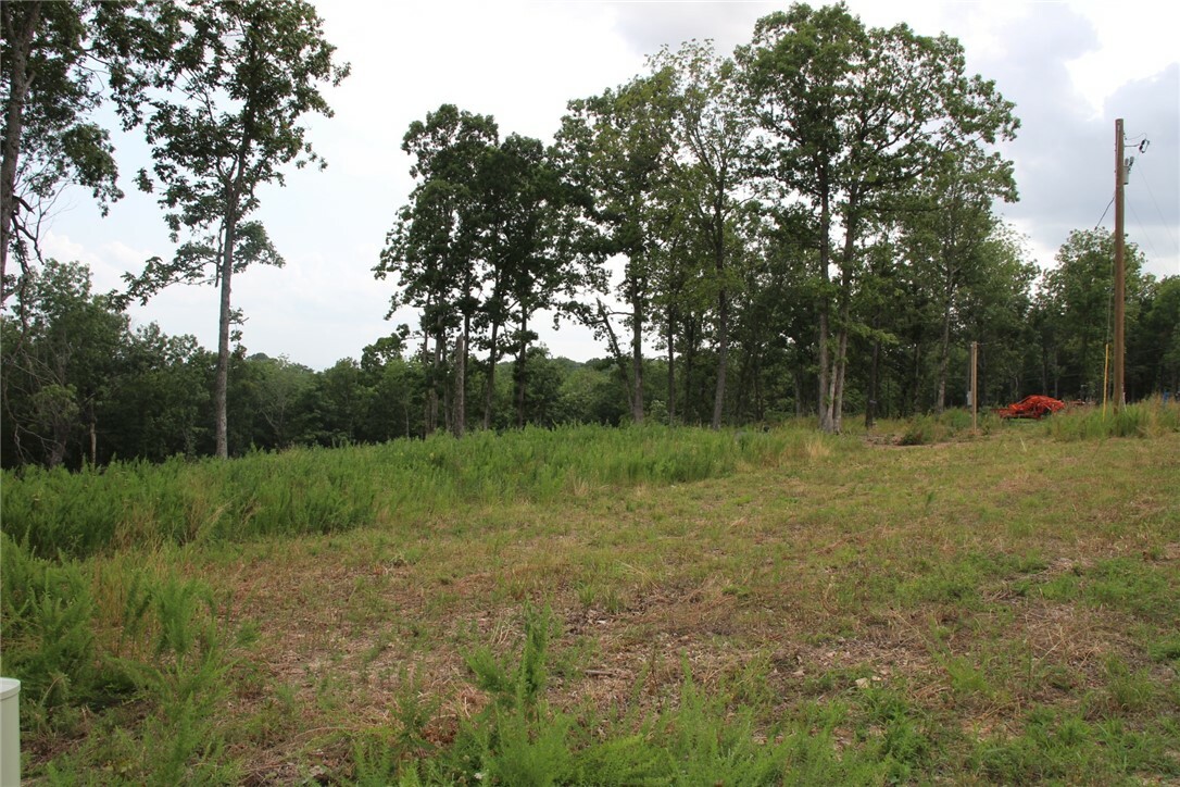 Property Photo:  Tract 3 Mc 5039  AR 72682 