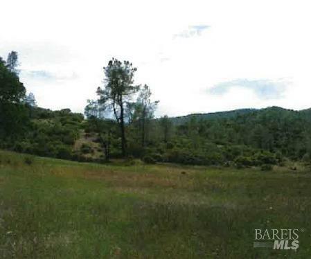 Property Photo:  0 Snell Valley Rd./Butts Canyon Road  CA 94567 