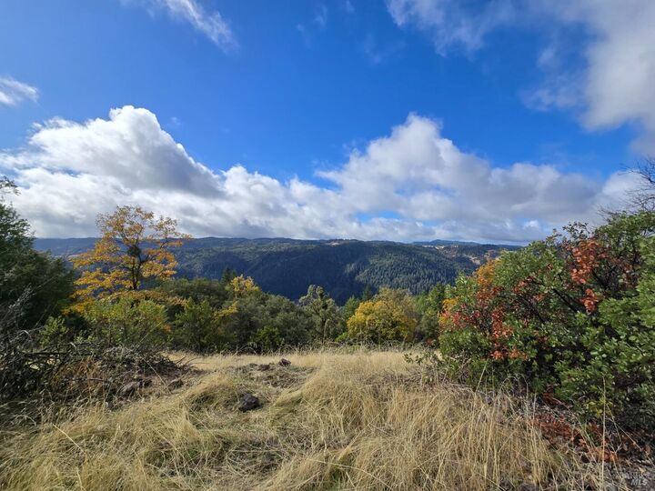 32120 Shimmins Ridge Road  Willits CA 95490 photo