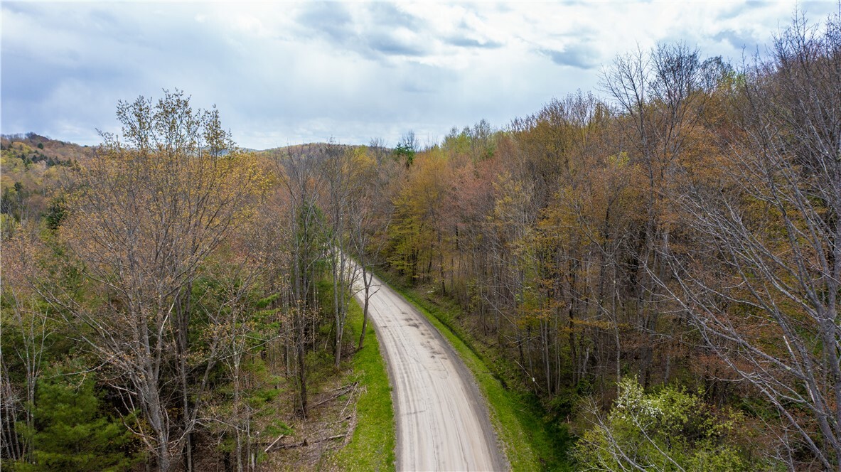 Property Photo:  Lang Road  NY 14883 