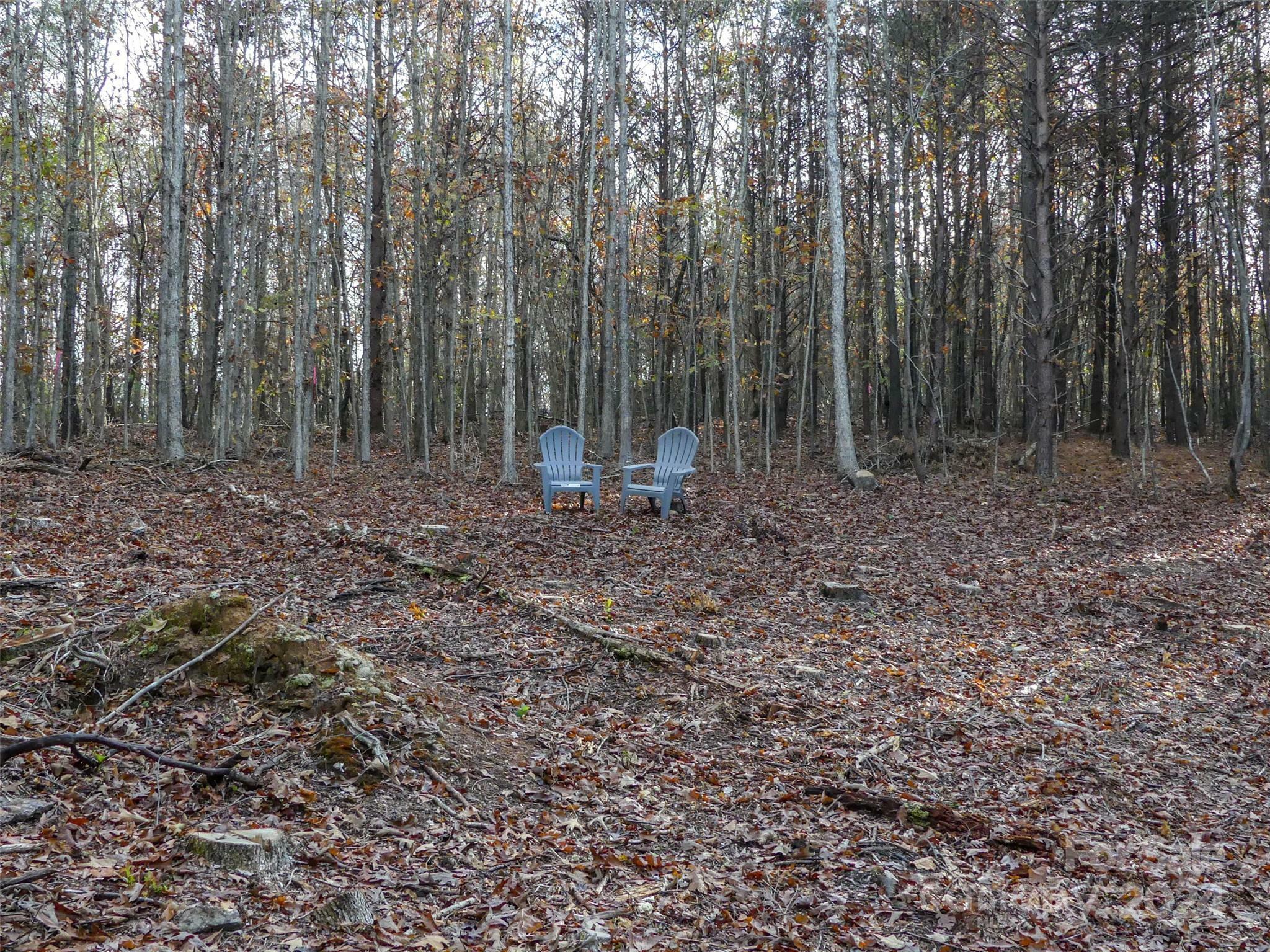 Property Photo:  0 Stateline Road  NC 28114 