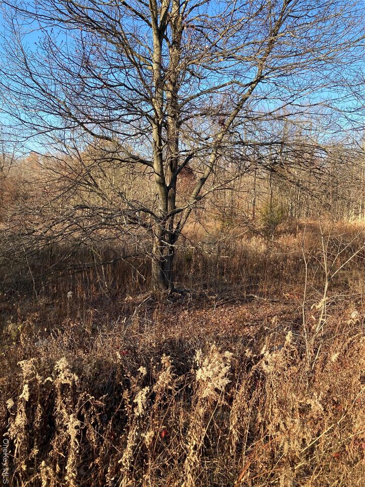 Property Photo:  Pocatello Road Pocatello Road  NY 12566 