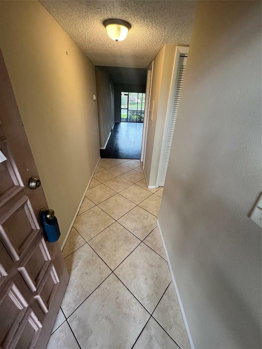 Property Photo:  141 Lakeview Way  FL 34677 