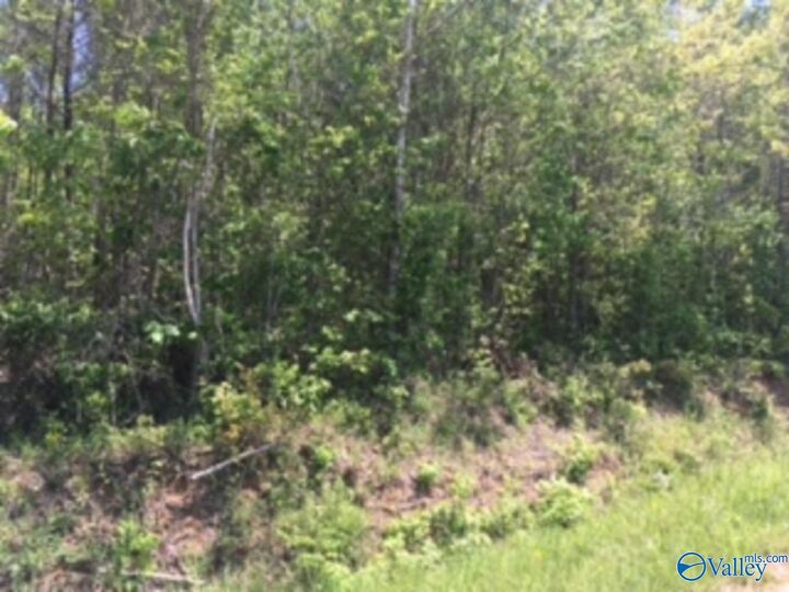 Property Photo:  4.7 Acres County Road 1453  AL 35622