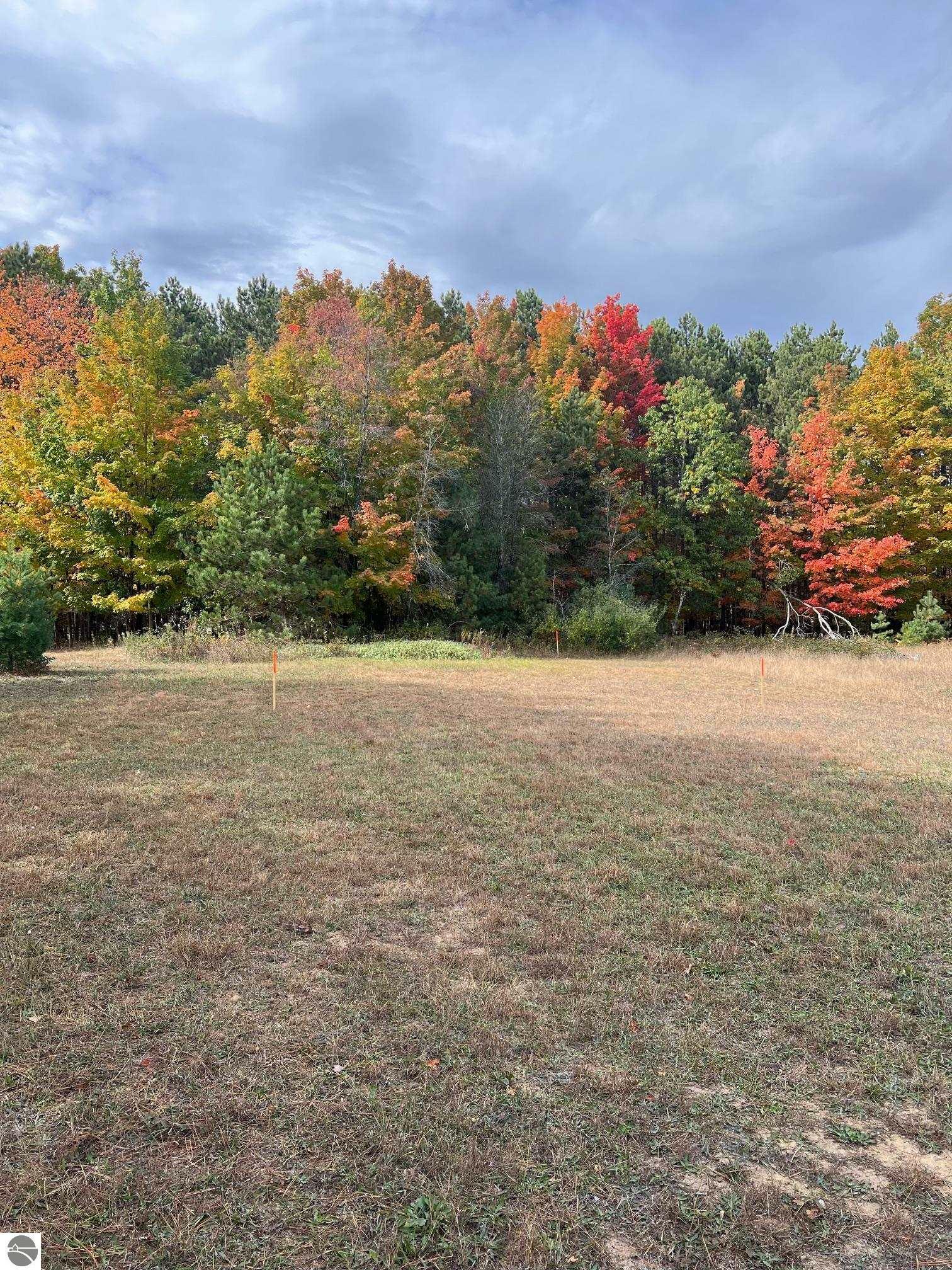 Property Photo:  134 S West Silver Lake Road  MI 49685 