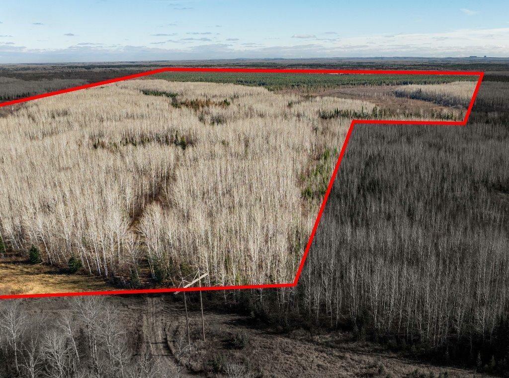 Property Photo: Tbd County Rd 60 MN 55744