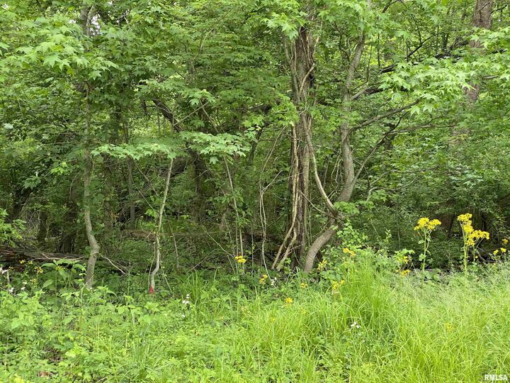 Property Photo:  Lot 4 Choctaw Drive  IL 62901 