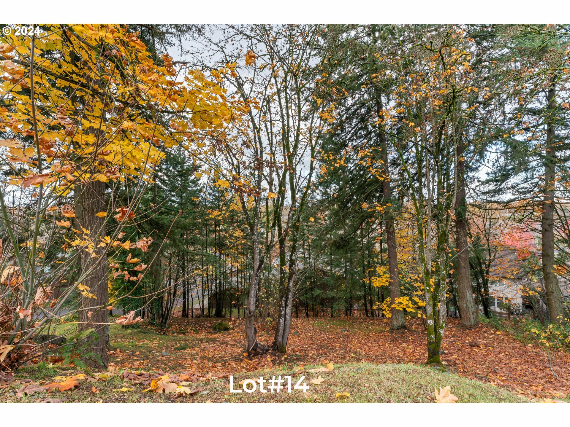 Property Photo:  Stonecrest Dr Lot #14  OR 97401 