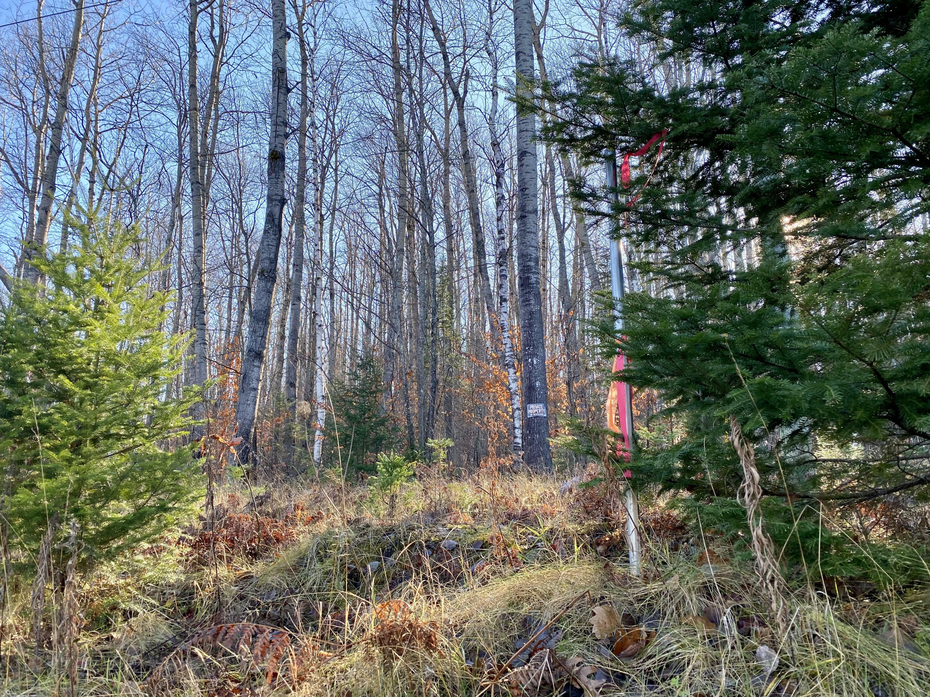 Property Photo:  Lots 36-39 Chemin De La Montagne  MI 49799 