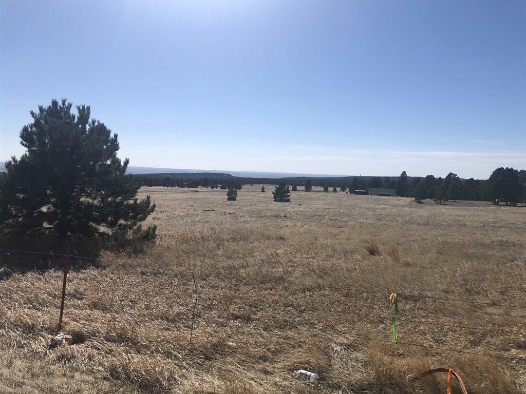 Property Photo:  Lot #4  WY 82701 