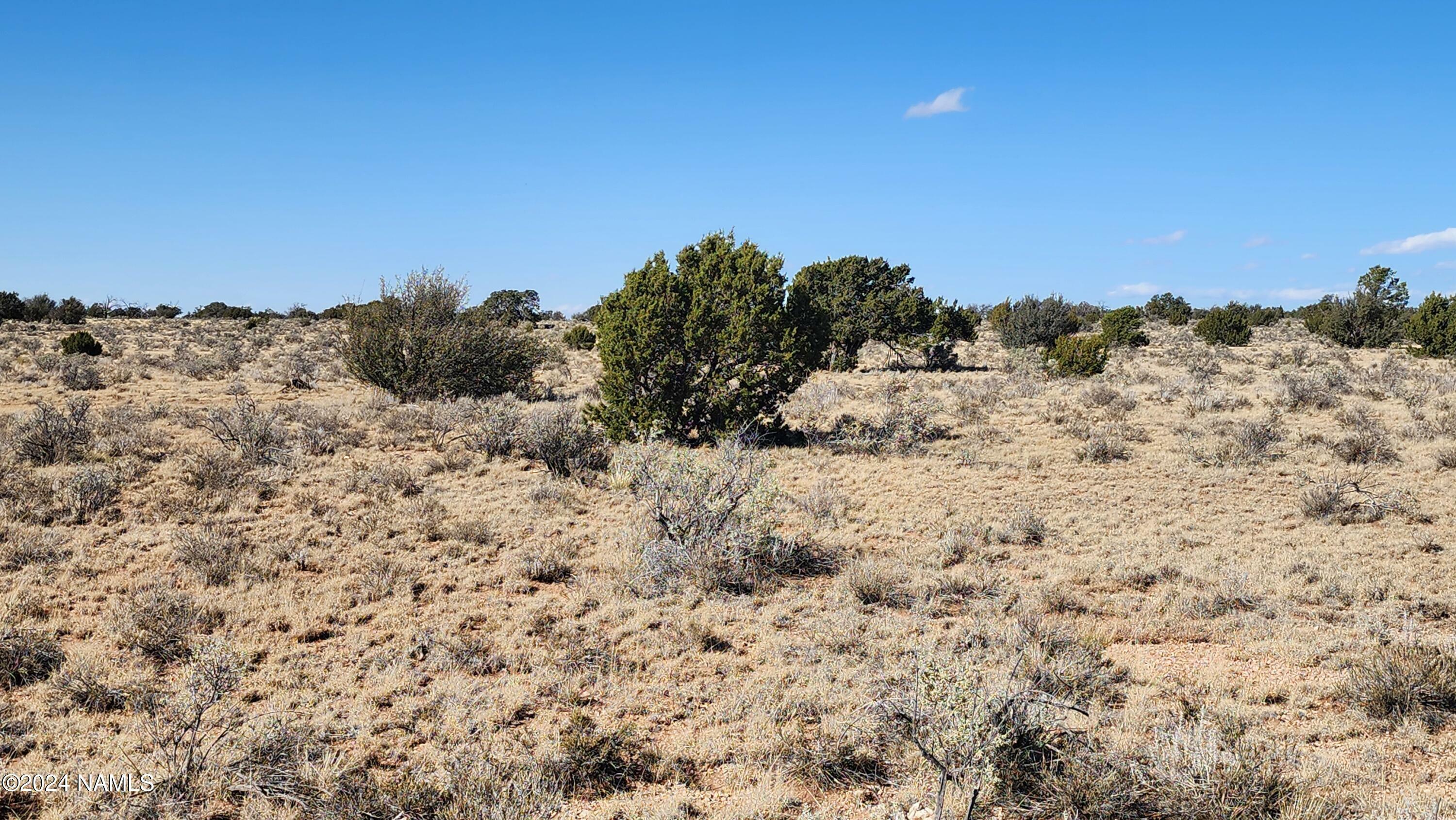 Property Photo:  3433 Red Butte Rd Lot B  AZ 86046 