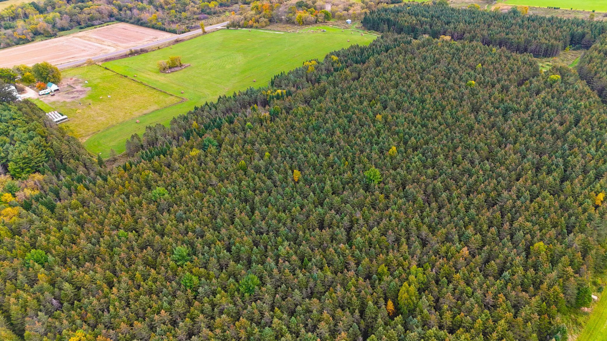 Property Photo: 1350 County Road D Lot 4 WI 54013