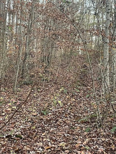 Property Photo:  468 Horns Creek Road  TN 37362 