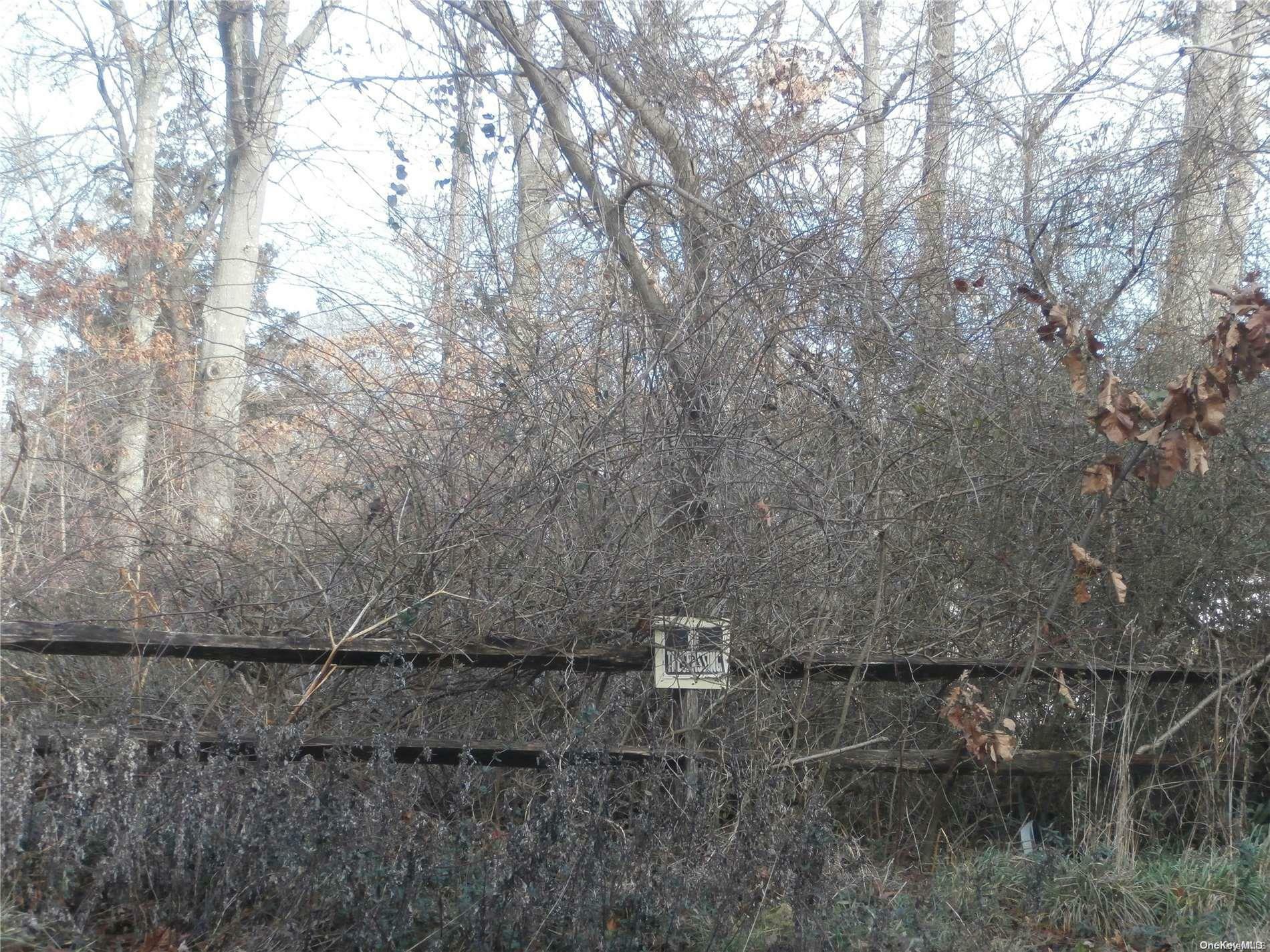 Property Photo: Vl 1st Place NY 11950
