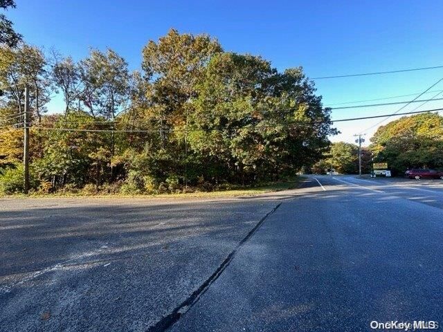 Property Photo: Vl Neighborhood Road NY 11950