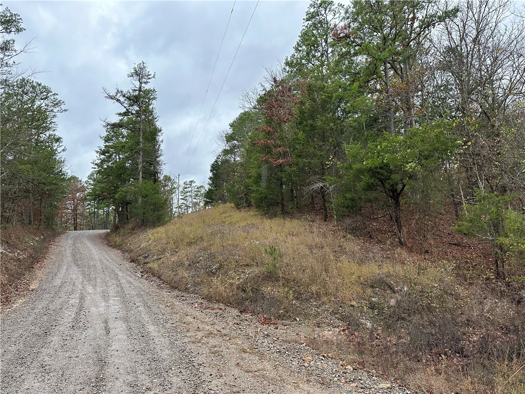 Property Photo:  Tbd Horseshoe Bend Road  AR 72770 