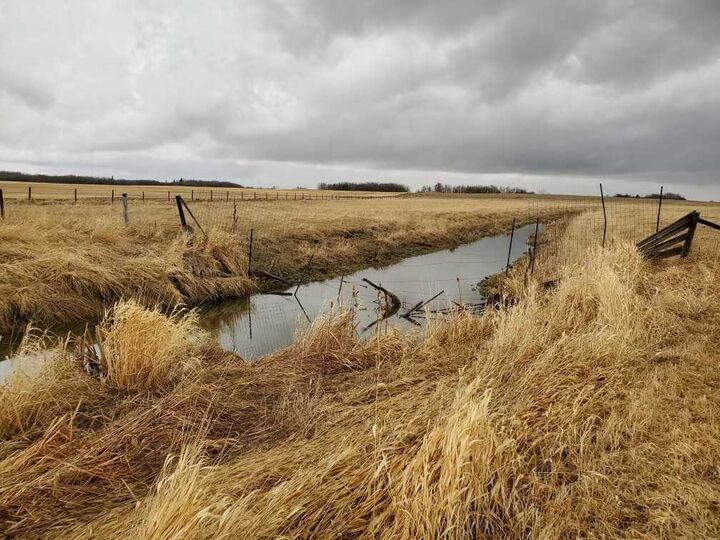 Property Photo:  4810 52 Avenue  AB T0B 0C0 