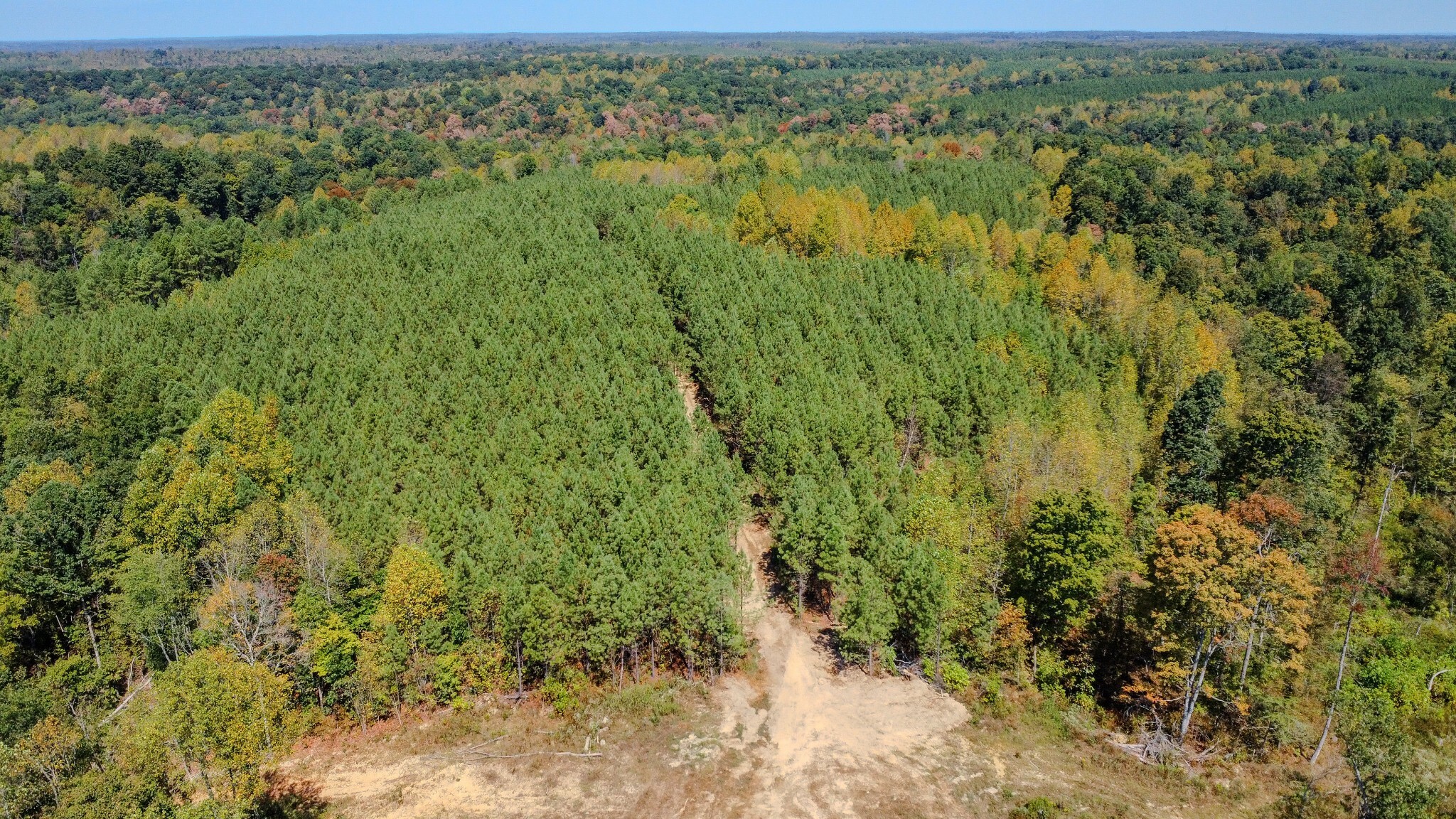 Property Photo: 0 Hurricane Road NE TN 37175