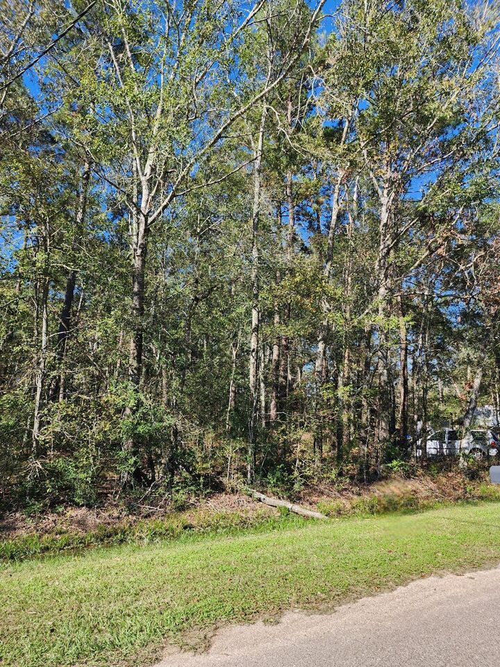 243 County Road 3662  Splendora TX 77372 photo