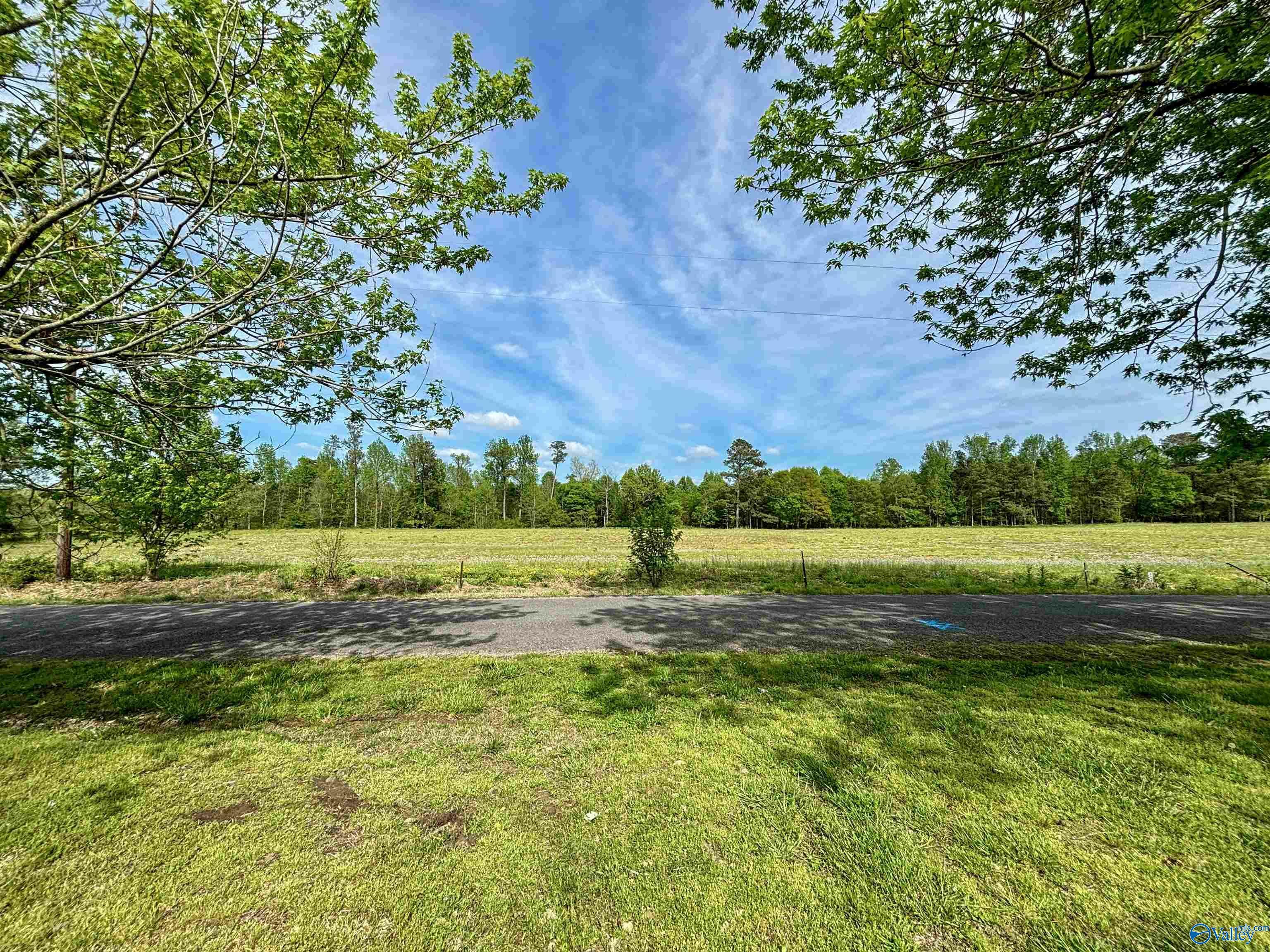 Property Photo:  12 Acres County Road 318  AL 35963 