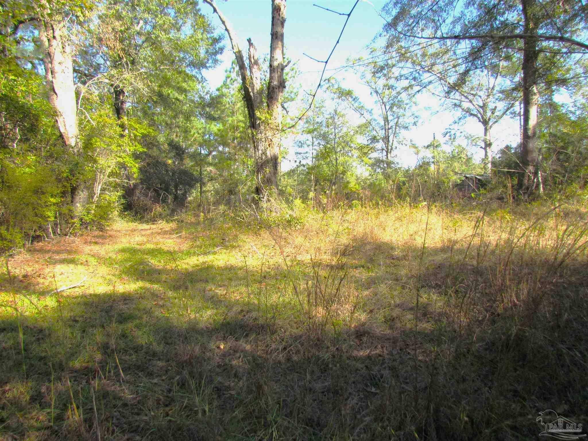 Property Photo:  000 McCall Rd  FL 32535 