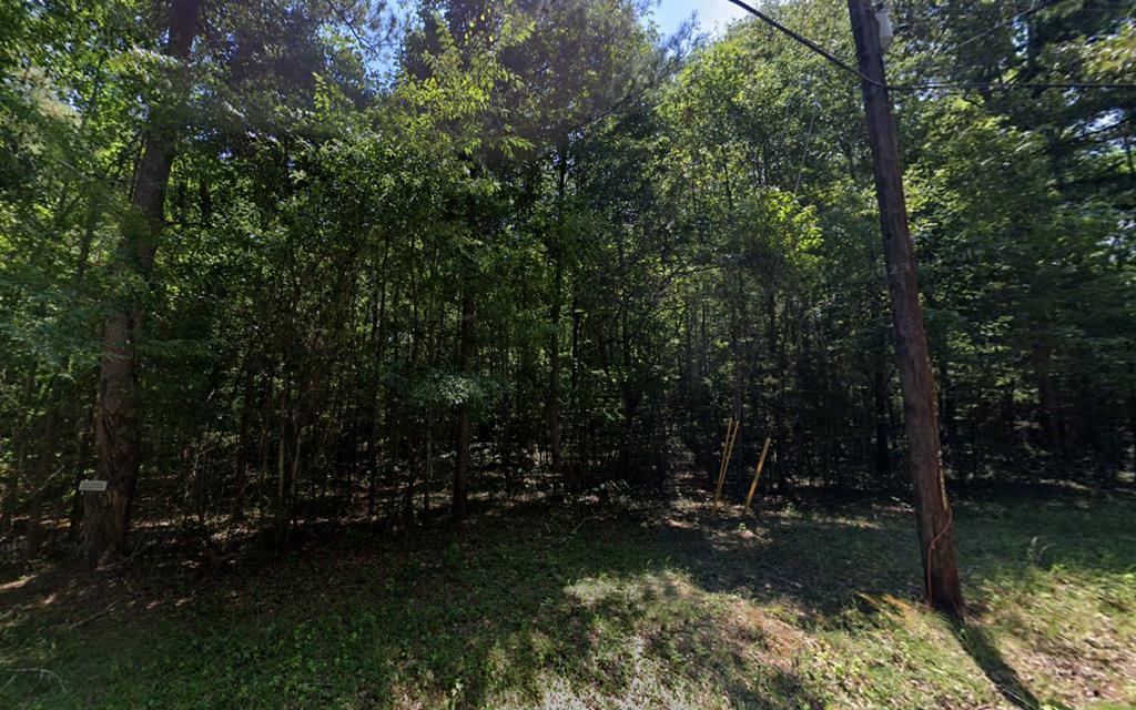 Property Photo:  Lots 94D &Amp 93D Melody Drive  GA 31831 