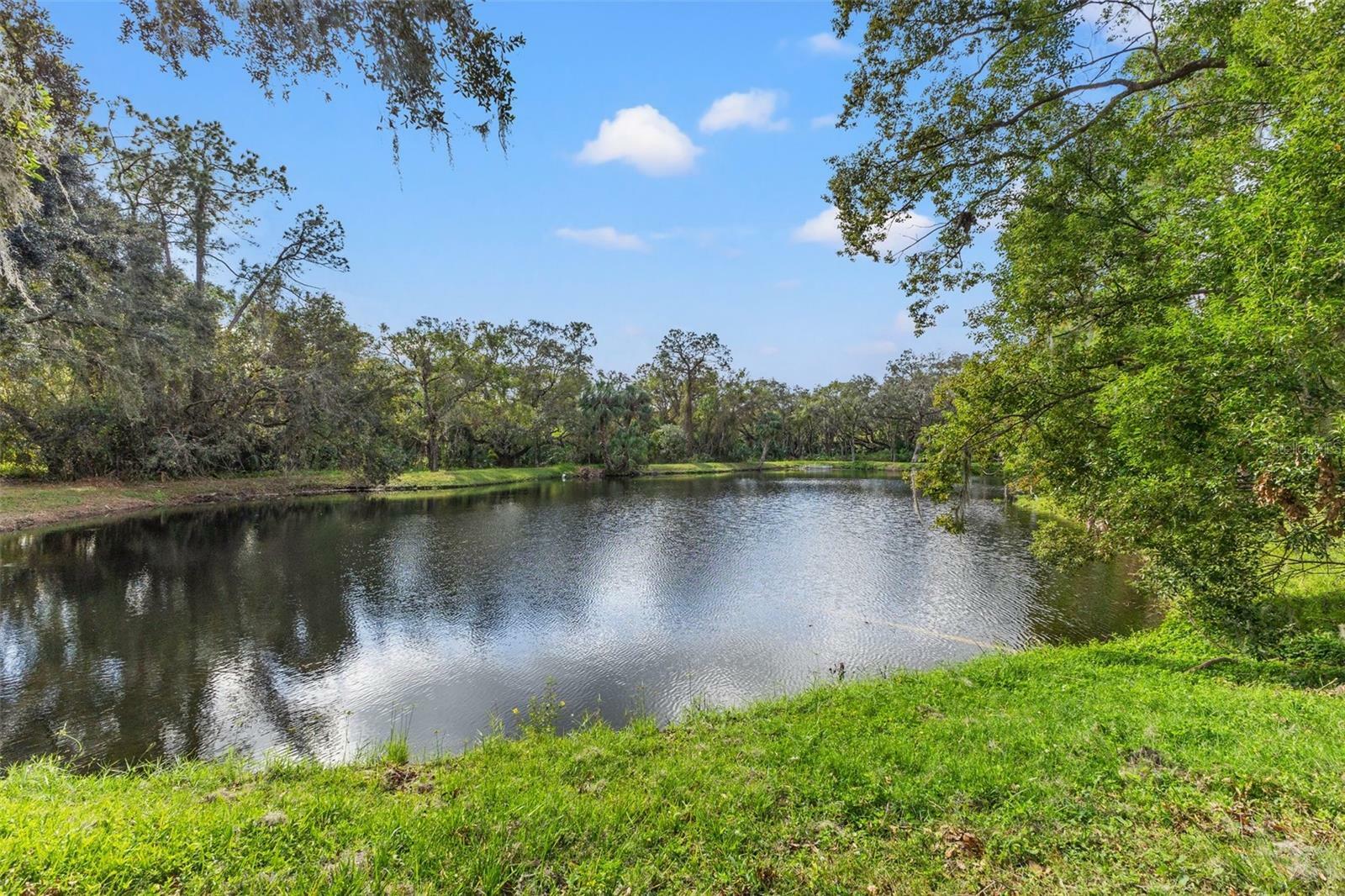 Property Photo:  6515 Stonington Drive S  FL 33647 