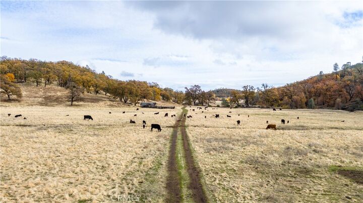 Property Photo:  11158 Rocky Creek Road  CA 95457 