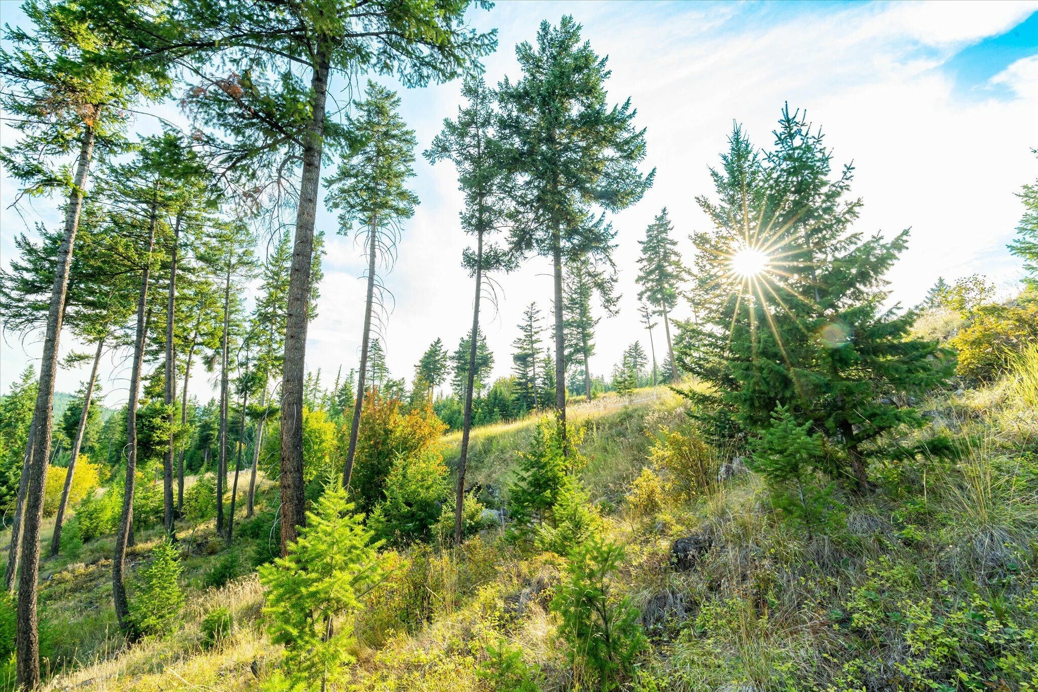 Property Photo: 1065 Trappers Creek Road MT 59922
