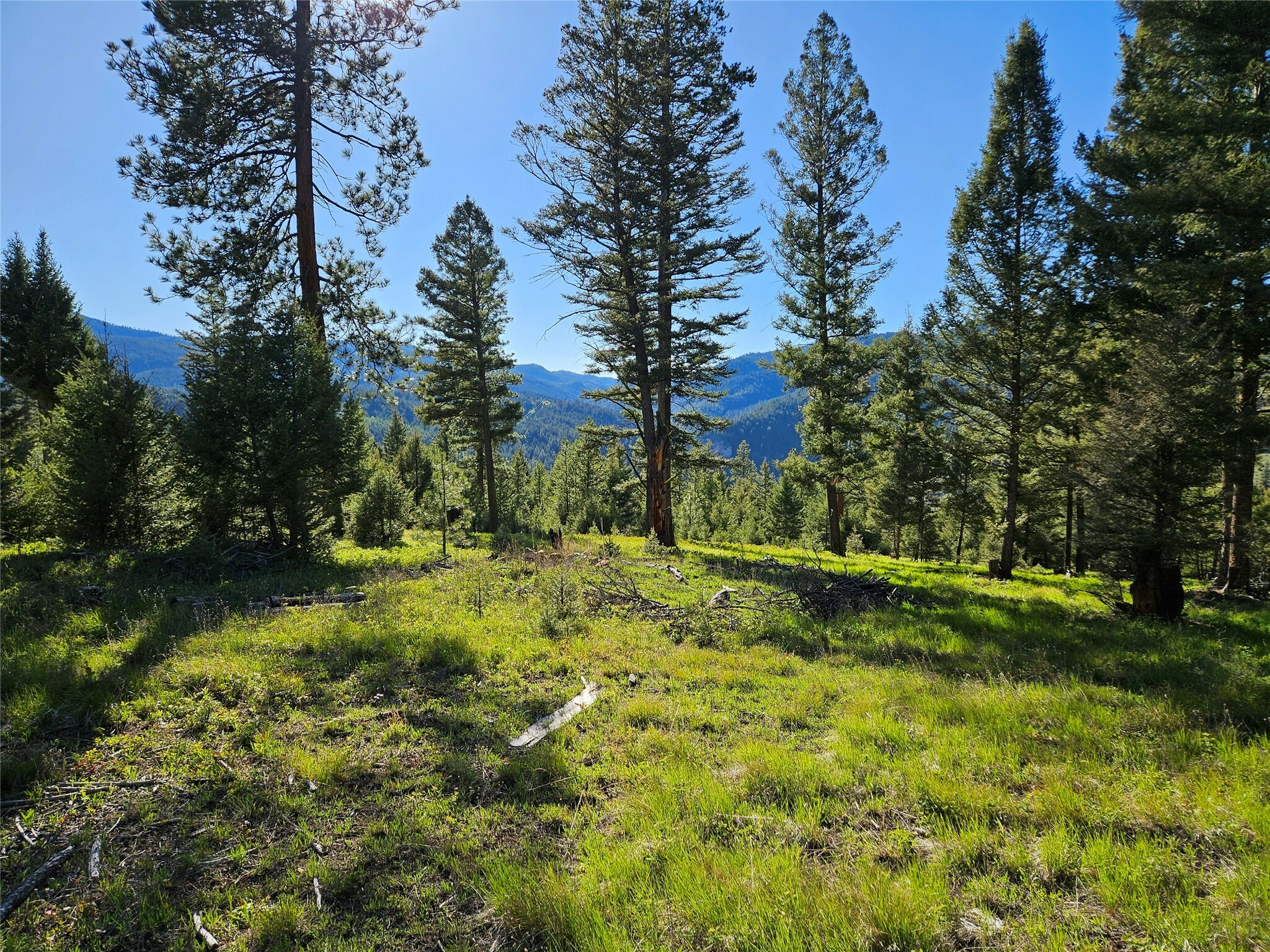 Property Photo: 202 Packer Gulch Road MT 59832