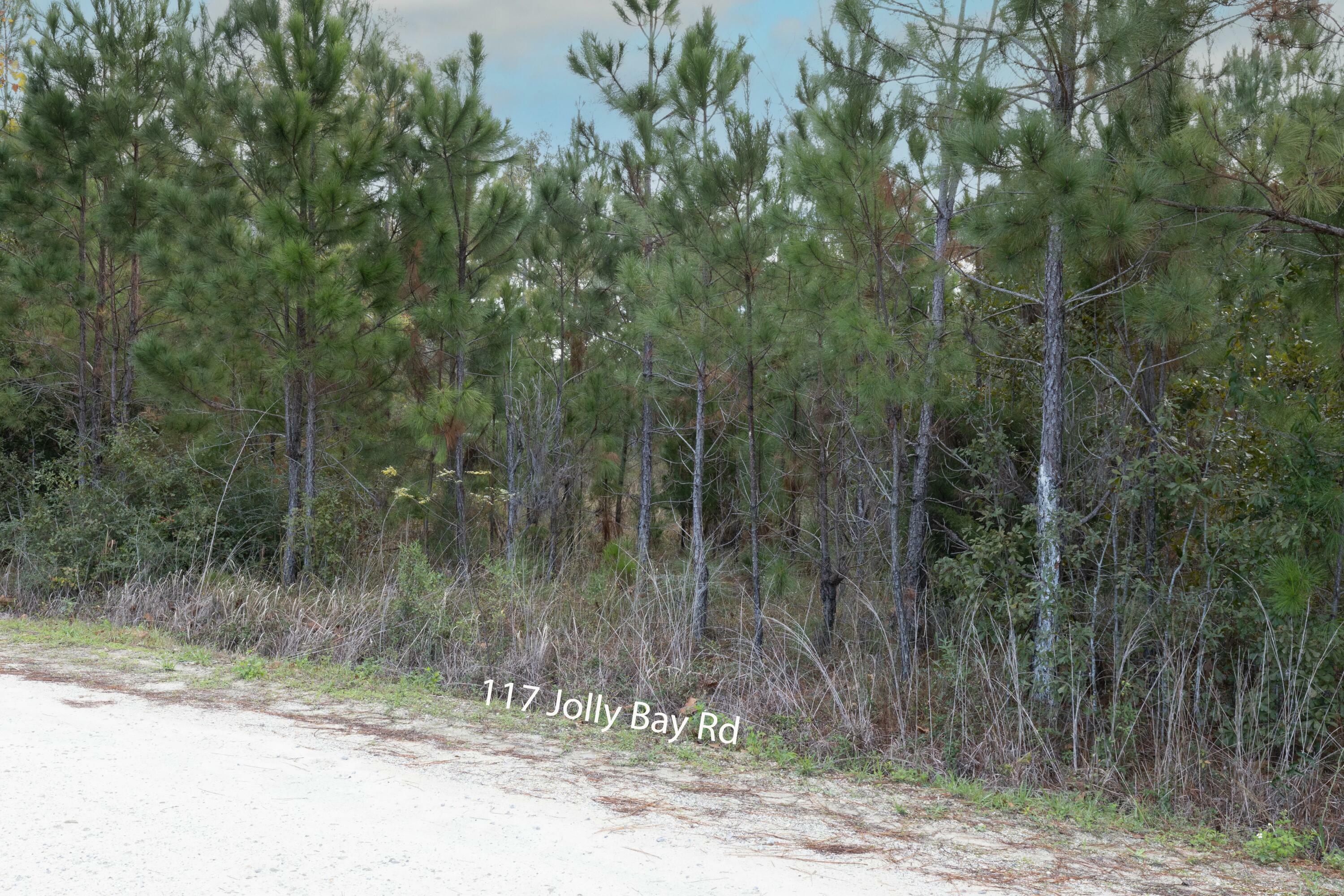 Property Photo:  117 Jolly Bay Road  FL 32439 