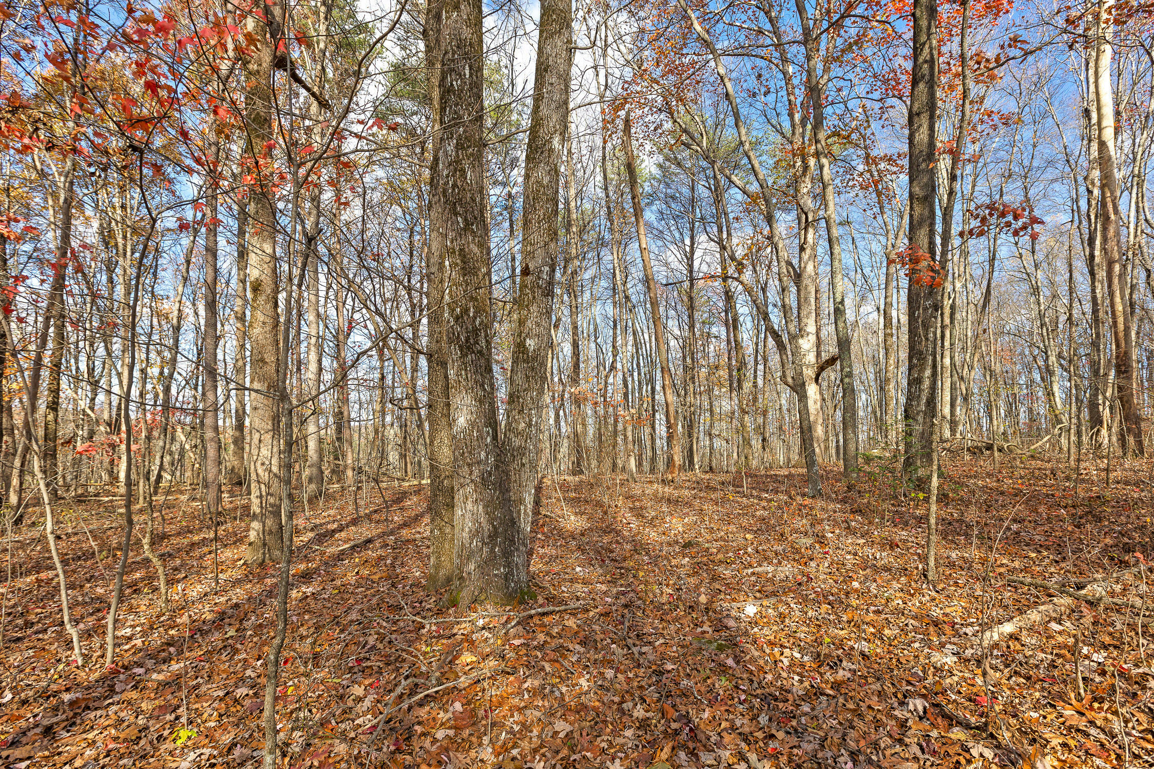 Property Photo:  0 Shivas Crest  GA 30738 