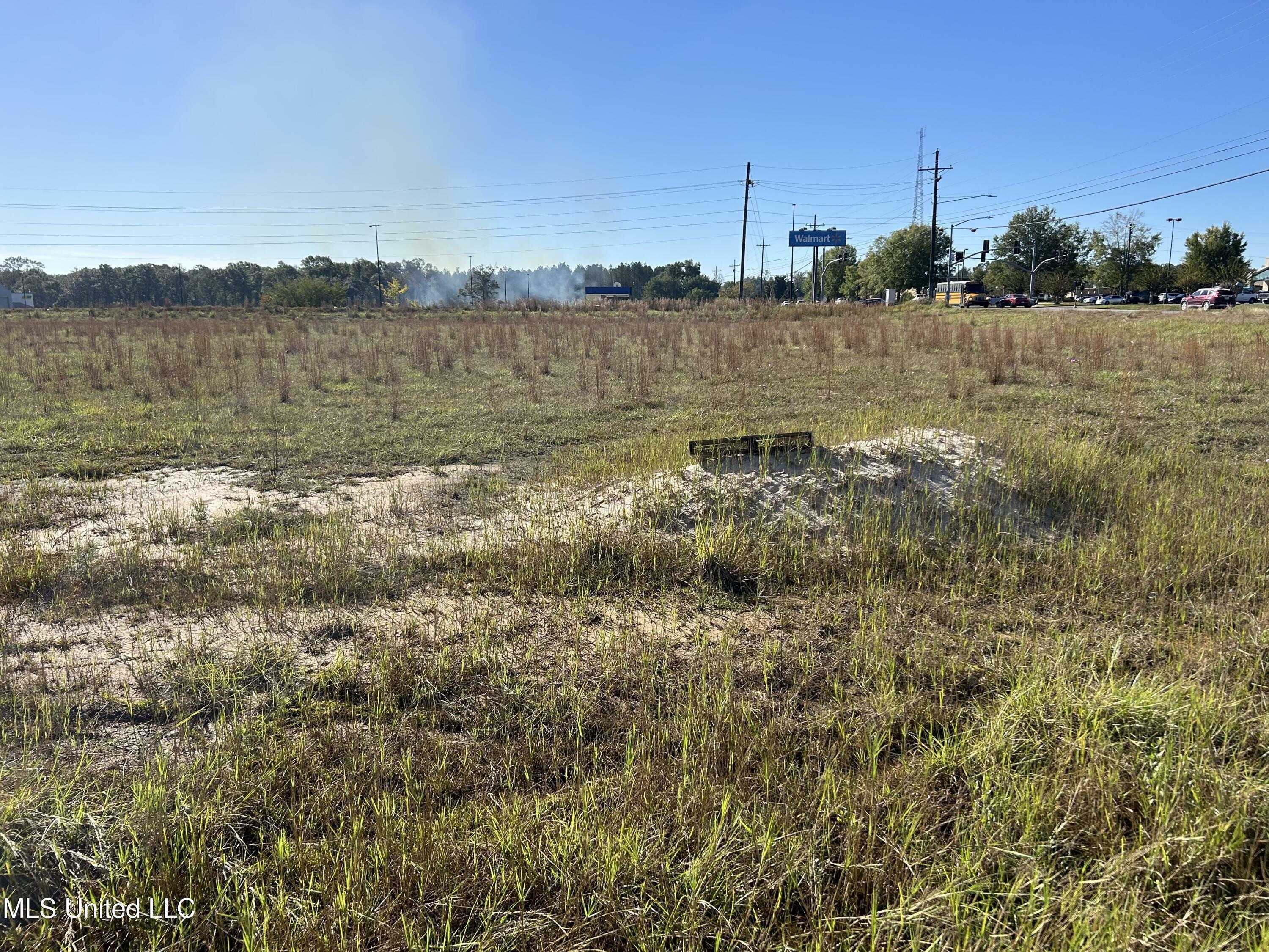 Property Photo:  0 Old Hwy 63 South  MS 39452 