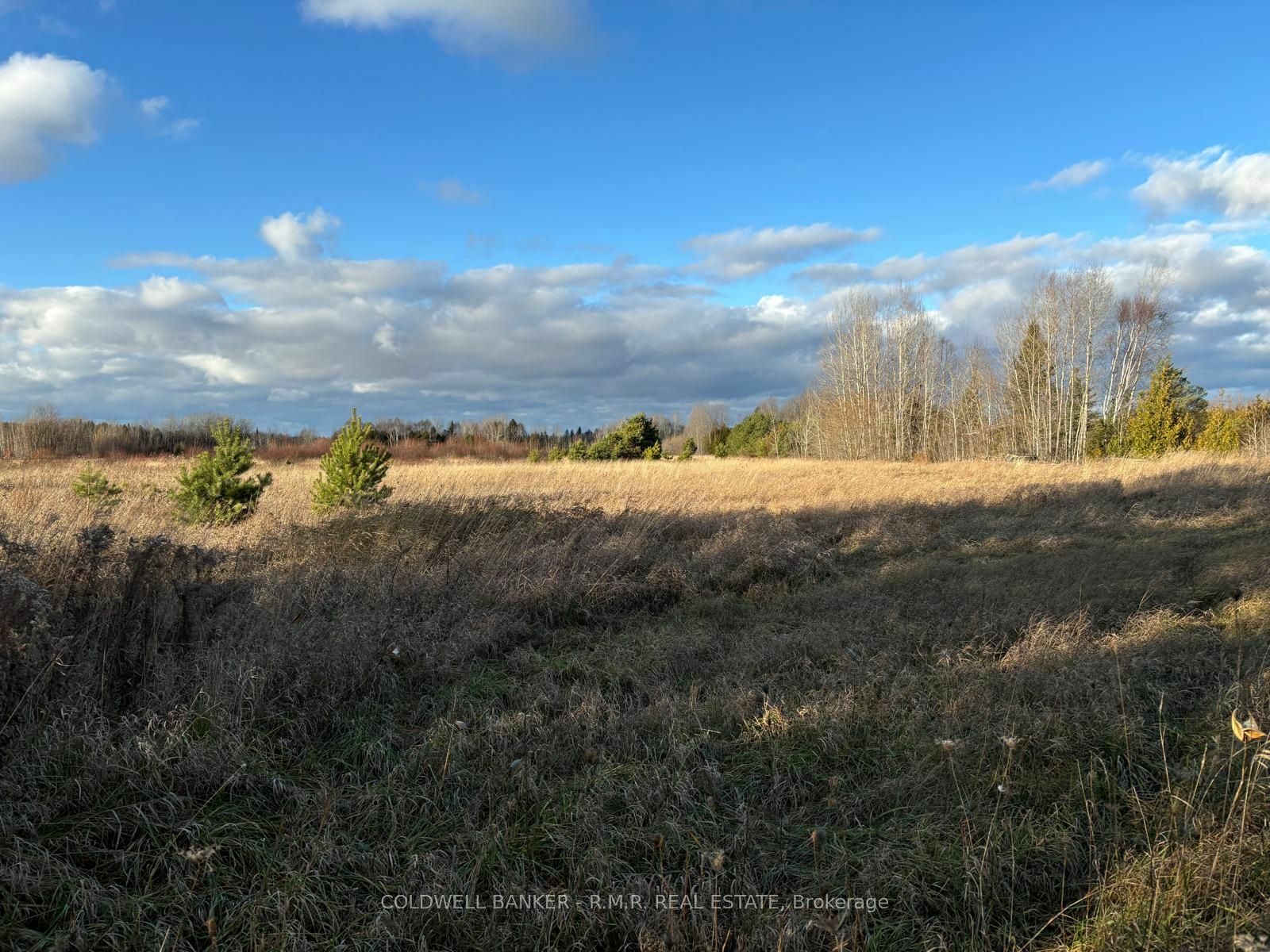 Photo de la propriété:  B1995 Concession 7 Rd E  ON L0K 1A0 