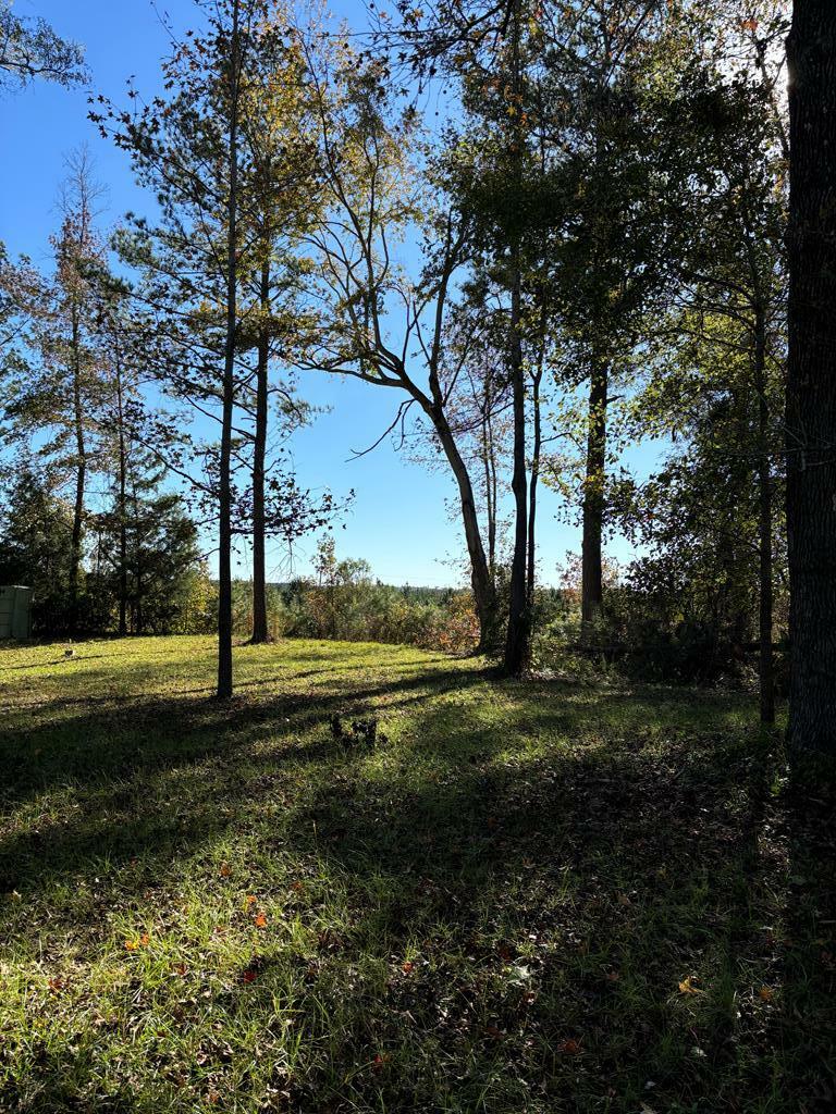 Property Photo:  3758 Ga Hwy 0026 W  GA 31803 