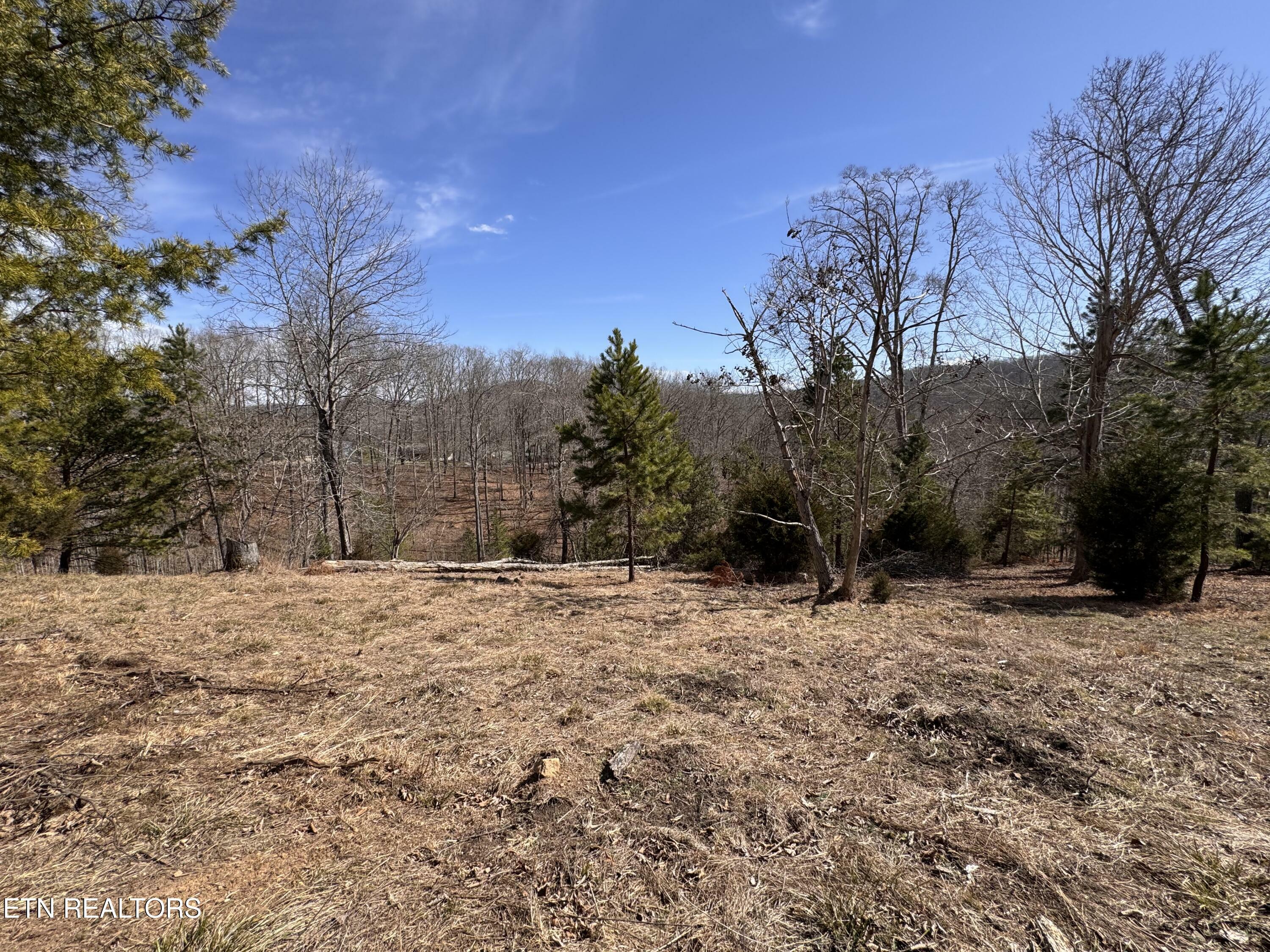 Property Photo:  4 Button Buck Lane  TN 37766 