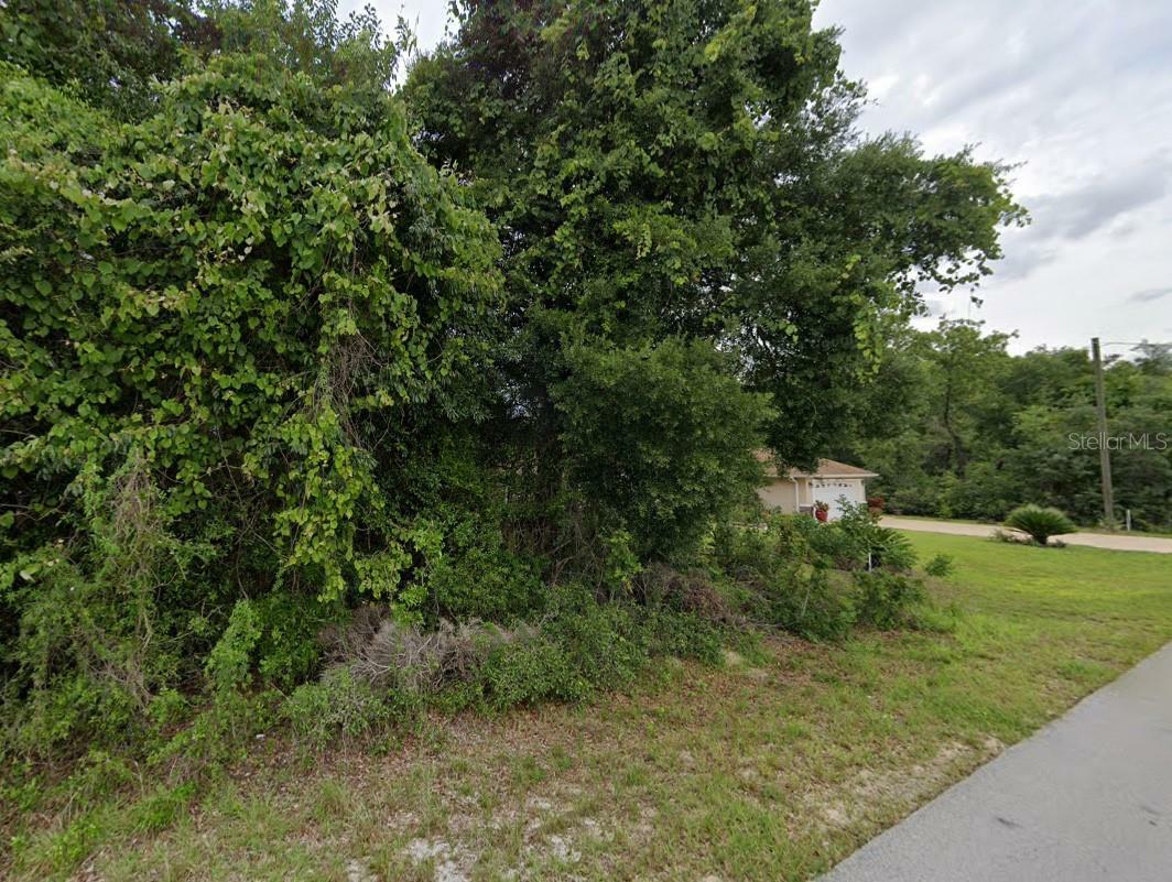 Property Photo:  0 SE 88th Court  FL 34491 